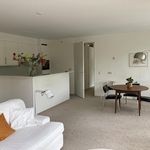 Rent 2 bedroom apartment of 108 m² in Amsterdam