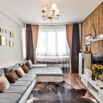 Rent 3 bedroom apartment of 43 m² in Prague