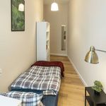 Rent a room in Wroclaw