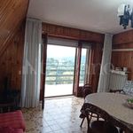Rent 5 bedroom house of 100 m² in Frosinone