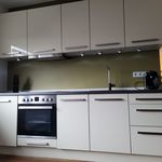 Rent 2 bedroom apartment of 45 m² in Vallendar