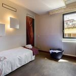 Affitto 1 camera appartamento in Firenze