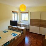 Rent 6 bedroom apartment in União das Freguesias de São Martinho do Bispo e Ribeira de Frades