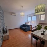 Rent 1 bedroom apartment of 60 m² in Montegiorgio