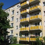Rent 2 bedroom apartment of 51 m² in Dresden