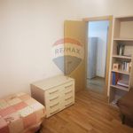 Rent 4 bedroom apartment of 105 m² in Bologna