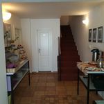 Rent a room of 300 m² in Praha