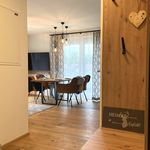 Rent 1 bedroom apartment of 45 m² in Bad Mitterndorf