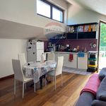 Rent 3 bedroom apartment of 127 m² in Brozolo