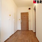 Rent 3 bedroom apartment of 68 m² in Brno
