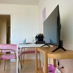 Rent 1 bedroom apartment of 32 m² in Braunschweig