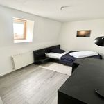  appartement avec 1 chambre(s) en location à Roubaix