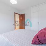 Alquilo 3 dormitorio apartamento de 93 m² en Oviedo