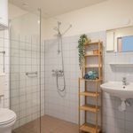 Rent 1 bedroom house of 28 m² in Ternaard