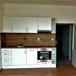 Pronajměte si 1 ložnic/e byt o rozloze 35 m² v Brno