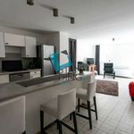 Rent 1 bedroom apartment of 40 m² in Lille