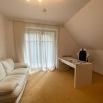 Rent 1 bedroom house in Karlovy Vary
