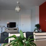 Rent 3 bedroom apartment in Harelbeke