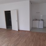 Rent 1 bedroom apartment of 35 m² in Rouen