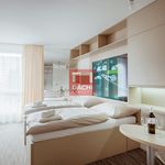 Rent 1 bedroom apartment of 21 m² in Olomouc