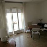 Affitto 4 camera appartamento di 70 m² in Ancona