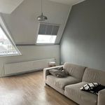 Rent 2 bedroom apartment of 61 m² in Veghel