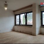 Rent 1 bedroom apartment of 50 m² in Železný Brod