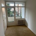 Rent 2 bedroom apartment of 110 m² in arnhem