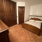 Affitto 1 camera appartamento di 60 m² in Torino