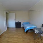 Affitto 3 camera appartamento di 70 m² in Albano Laziale