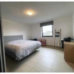 Rent 3 bedroom house of 241 m² in Lokeren
