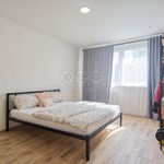Rent 3 bedroom apartment of 54 m² in Karviná