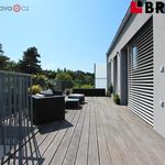 Rent 2 bedroom apartment of 43 m² in Brno
