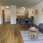Rent 1 bedroom apartment of 60 m² in Bad Mitterndorf