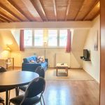 Rent 1 bedroom apartment of 60 m² in Brussel