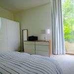 Rent 3 bedroom house of 1041 m² in Hasselt