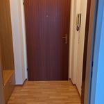 Rent 1 bedroom apartment of 30 m² in Sierning