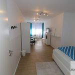 Rent 1 bedroom apartment of 26 m² in Nuremberg
