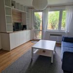 Rent 1 bedroom apartment of 30 m² in Ostrów Wielkopolski