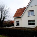 Rent 3 bedroom house of 600 m² in Dendermonde