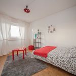Louez une chambre de 104 m² à Strasbourg