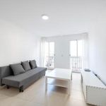 Rent 1 bedroom apartment of 50 m² in Málaga