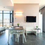 Rent 2 bedroom apartment of 50 m² in Venezia