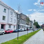 Rent 2 bedroom apartment of 54 m² in Postupice