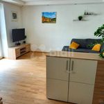 Rent 3 bedroom apartment of 71 m² in Šternberk