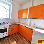 Rent 3 bedroom apartment of 55 m² in Blansko