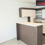 Rent 2 bedroom apartment of 43 m² in Cvikov