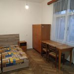 Rent 1 bedroom house of 150 m² in Brno