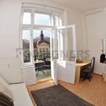 Rent 1 bedroom apartment of 12 m² in Brno