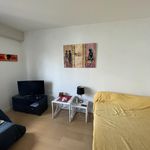 Rent 1 bedroom apartment of 29 m² in Pau